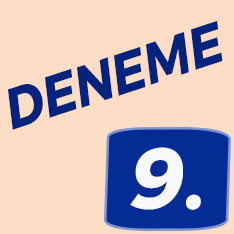 9. Sınıf Deneme
